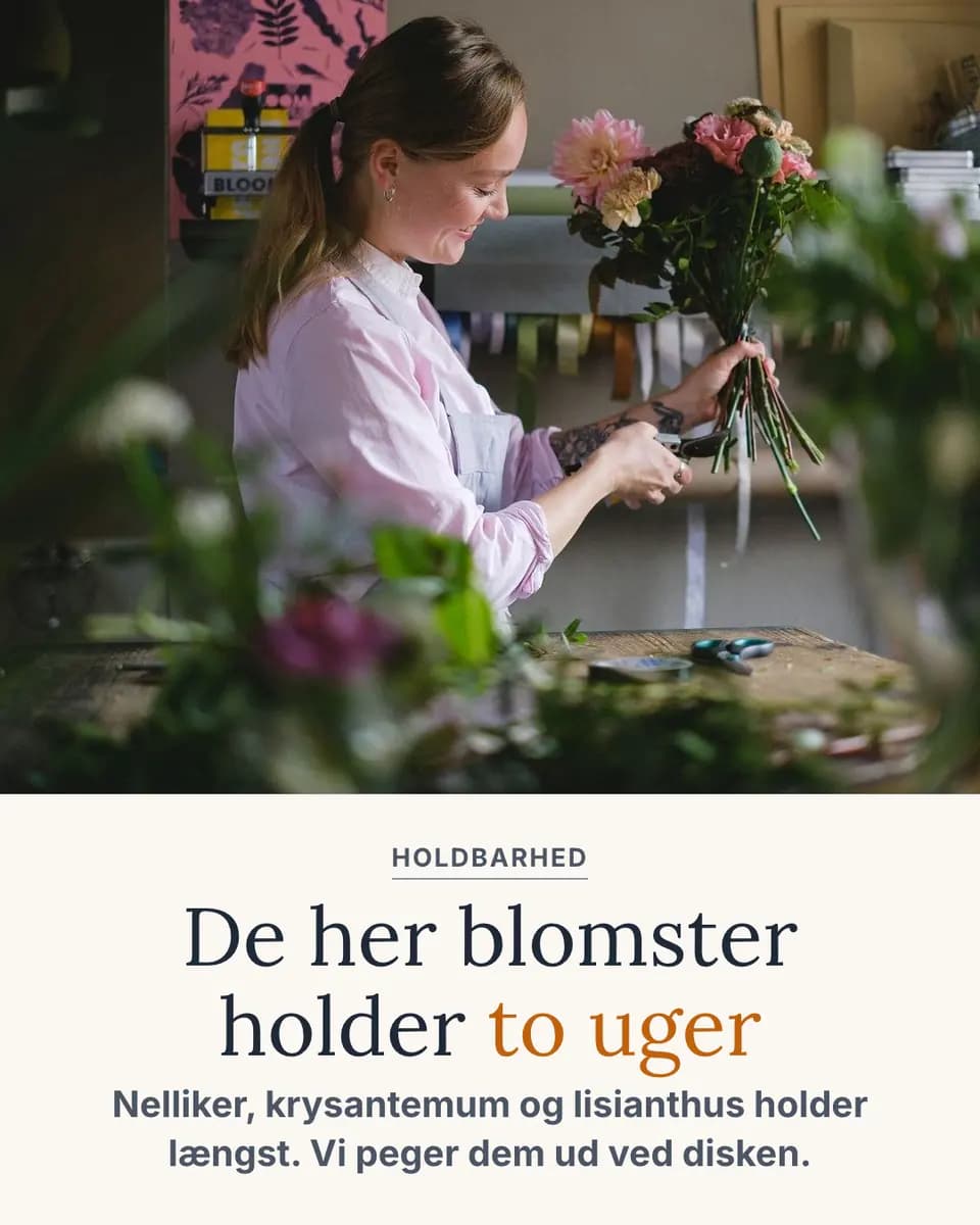 De her blomster holder to uger, Blomsterværksted