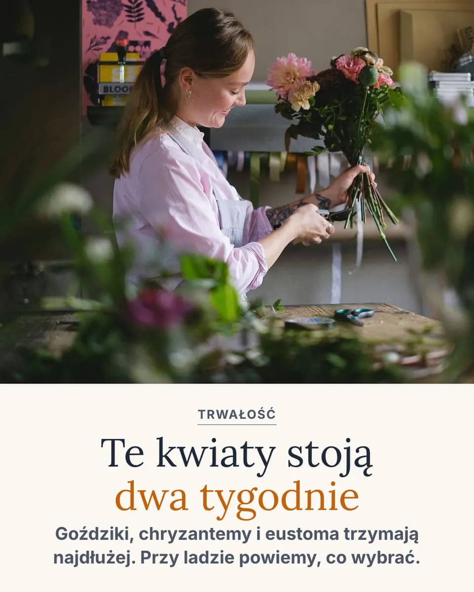 Te kwiaty stoją dwa tygodnie, Pracownia Kwiatowa