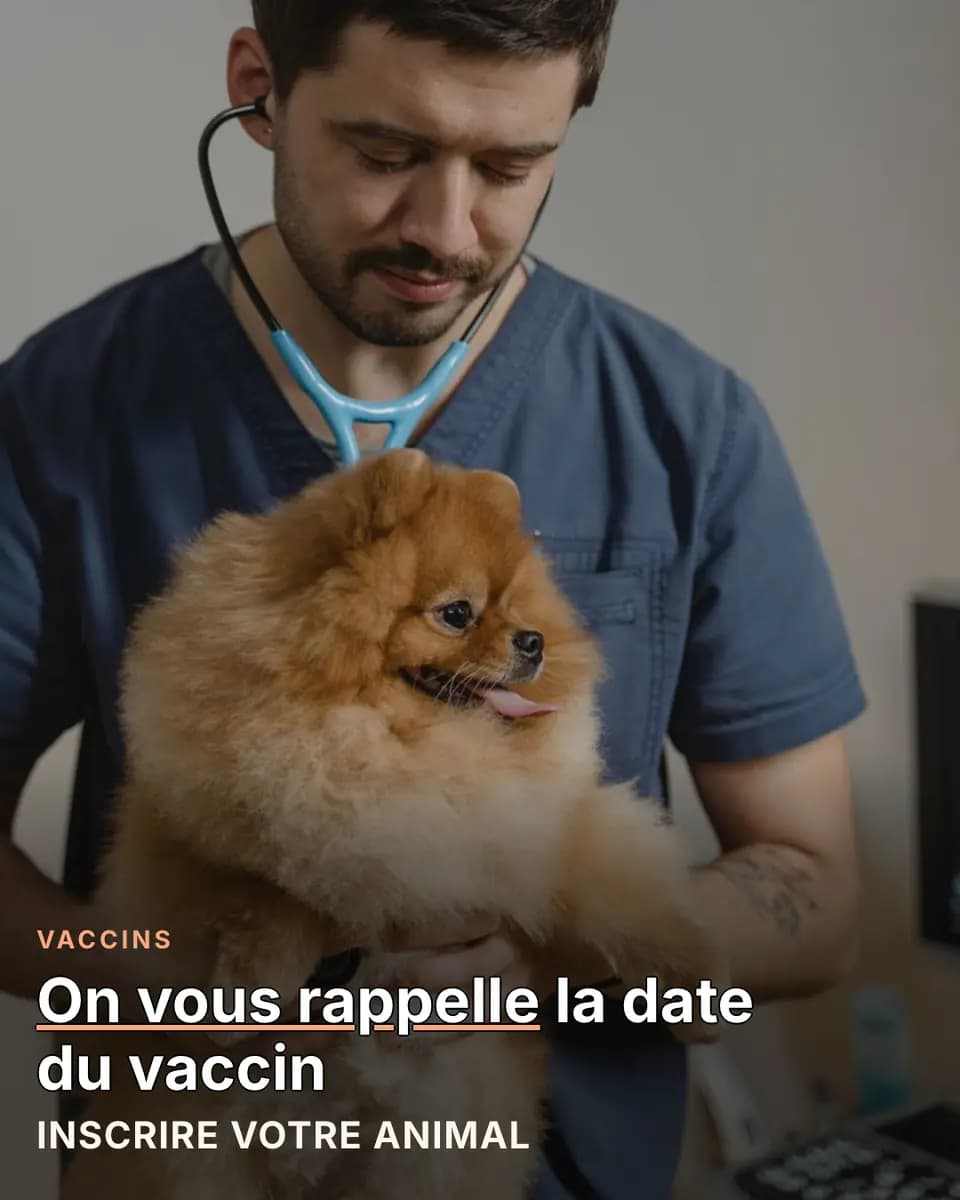 On vous rappelle la date du vaccin, Cabinet Vétérinaire