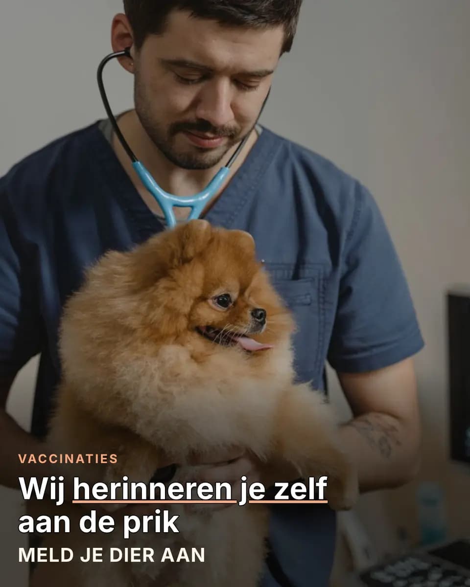 Wij herinneren je zelf aan de prik, Dierenartspraktijk