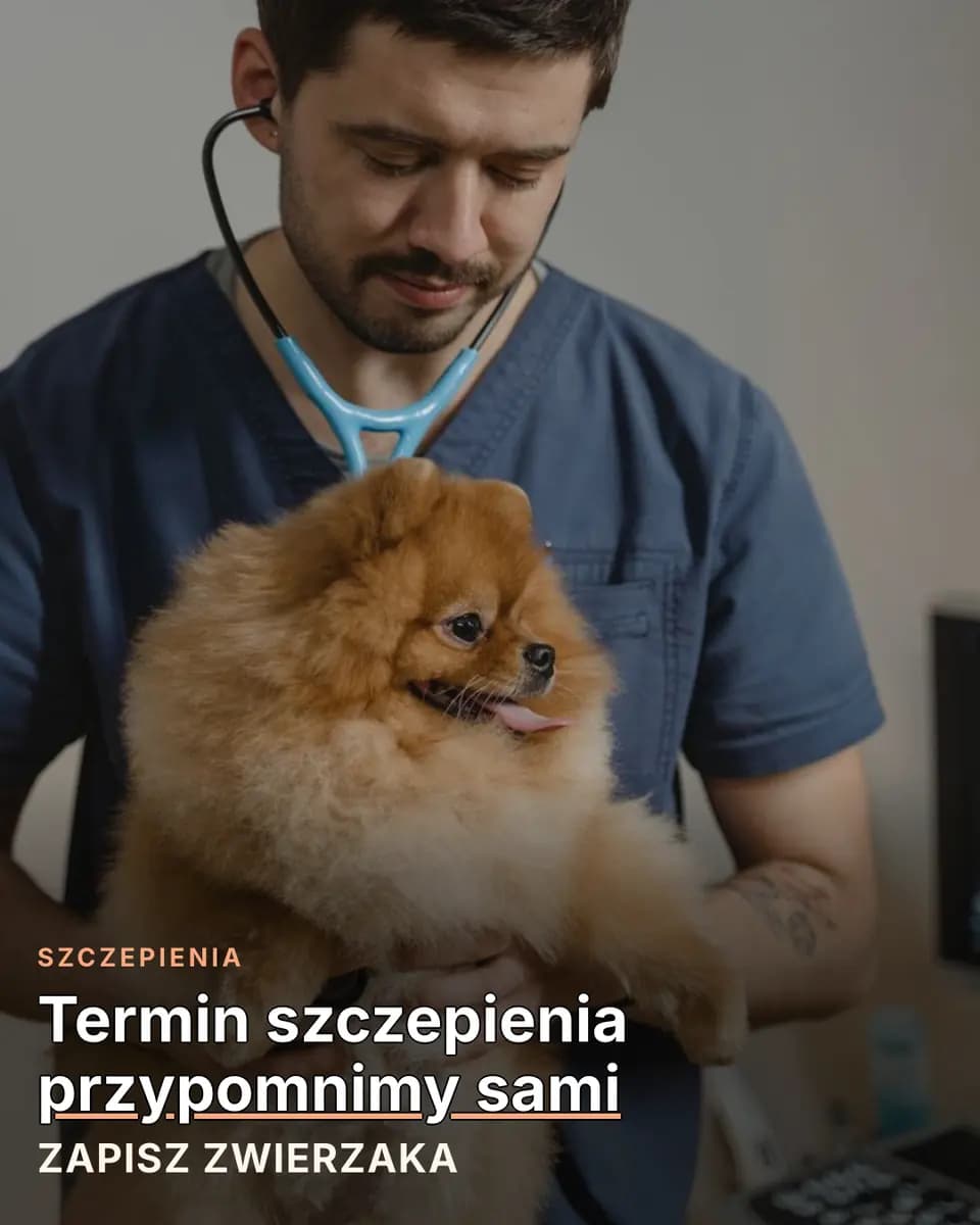 Termin szczepienia przypomnimy sami, Gabinet Weterynaryjny