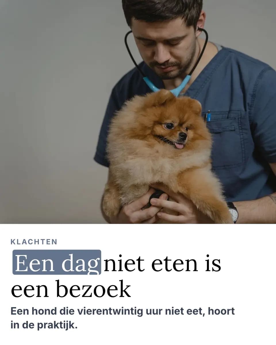 Een dag niet eten is een bezoek, Dierenartspraktijk