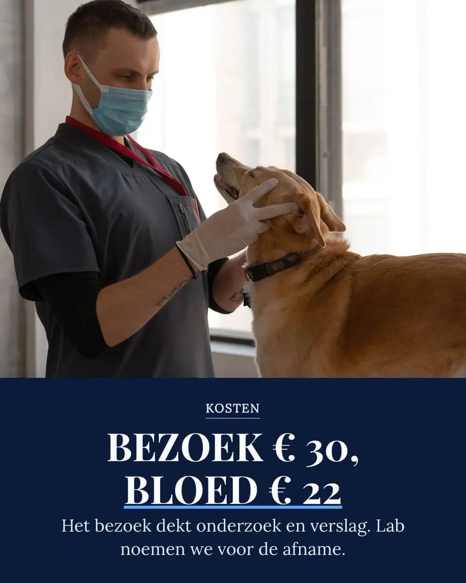 BEZOEK € 30, BLOED € 22, Dierenkliniek