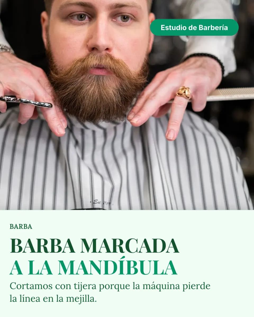 BARBA MARCADA A LA MANDÍBULA, Estudio de Barbería