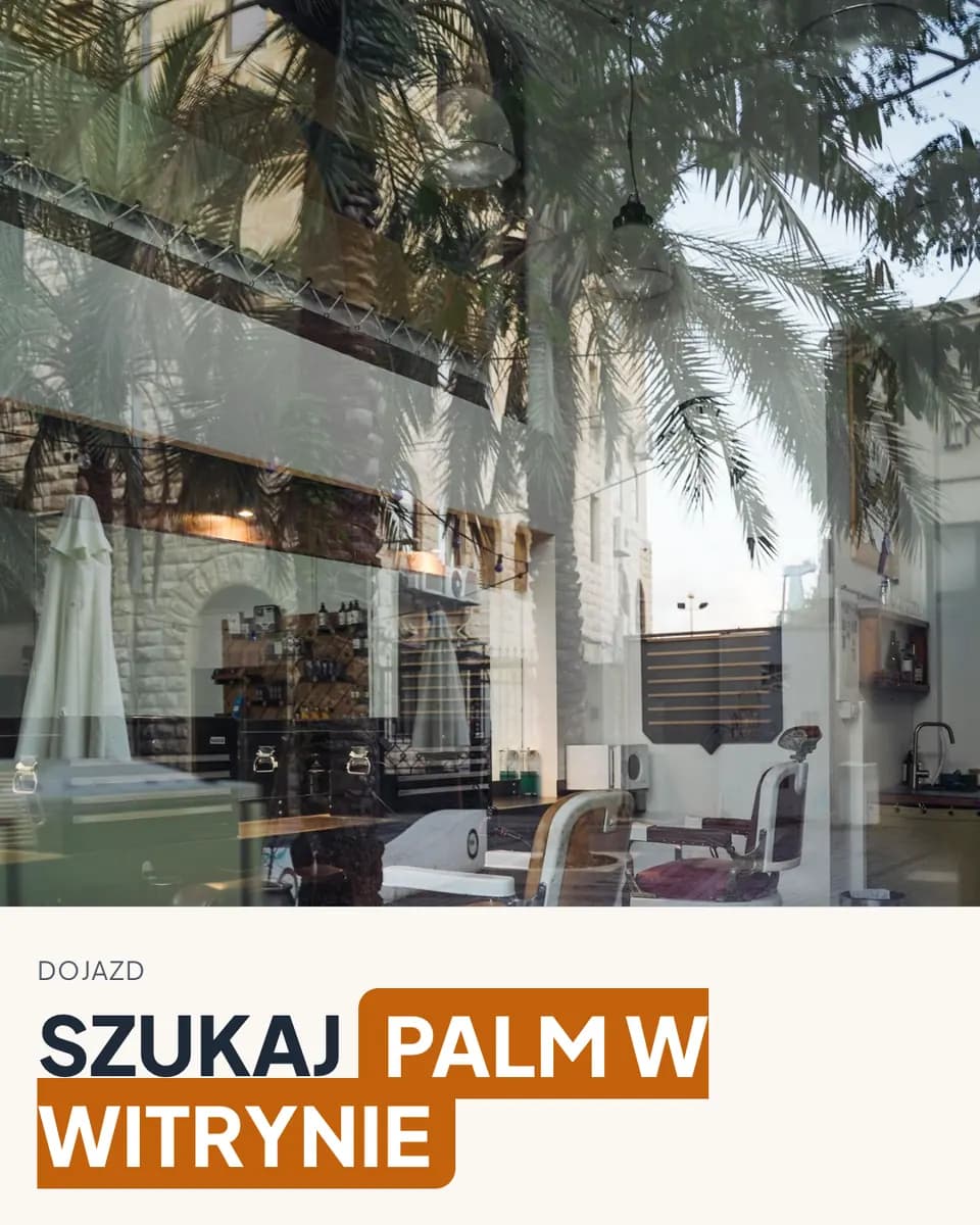 SZUKAJ PALM W WITRYNIE — Barber Studio