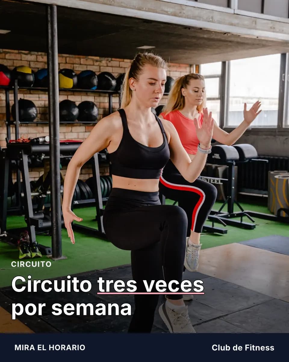 Circuito tres veces por semana, Club de Fitness