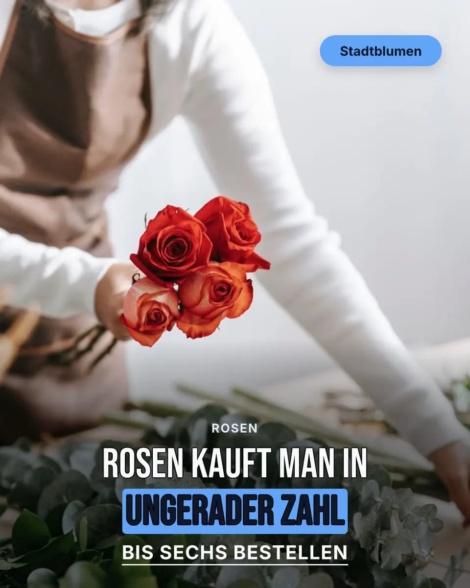 Rosen kauft man in ungerader Zahl, Stadtblumen