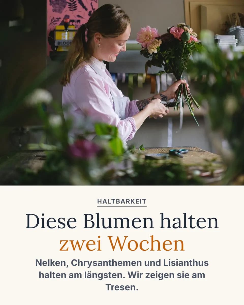 Diese Blumen halten zwei Wochen, Blumenwerkstatt