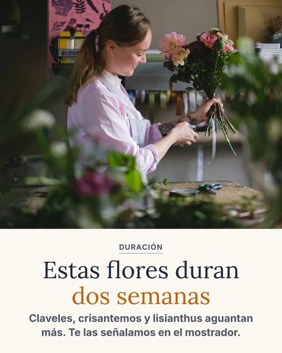 Estas flores duran dos semanas, Taller Floral