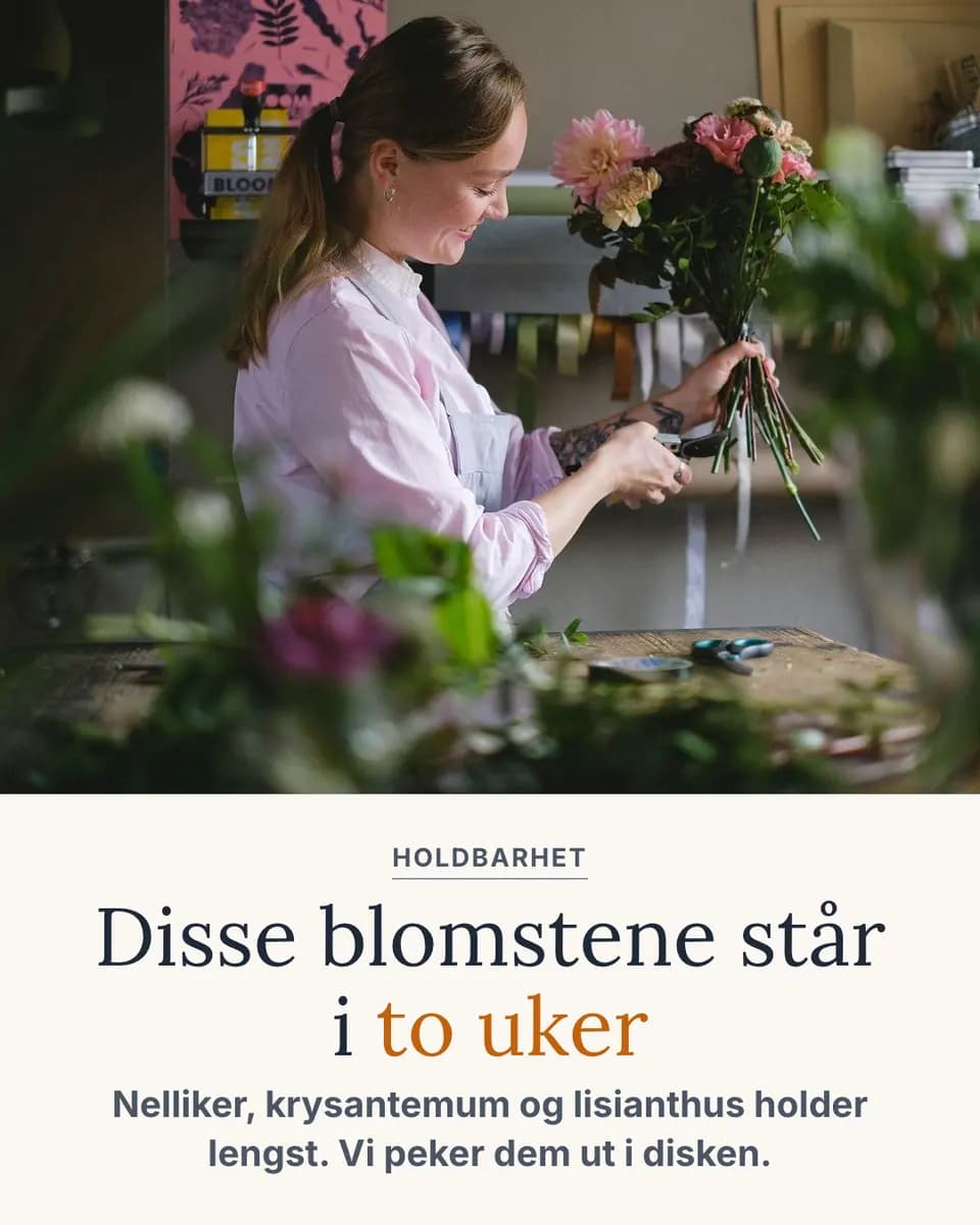 Disse blomstene står i to uker, Blomsterverksted