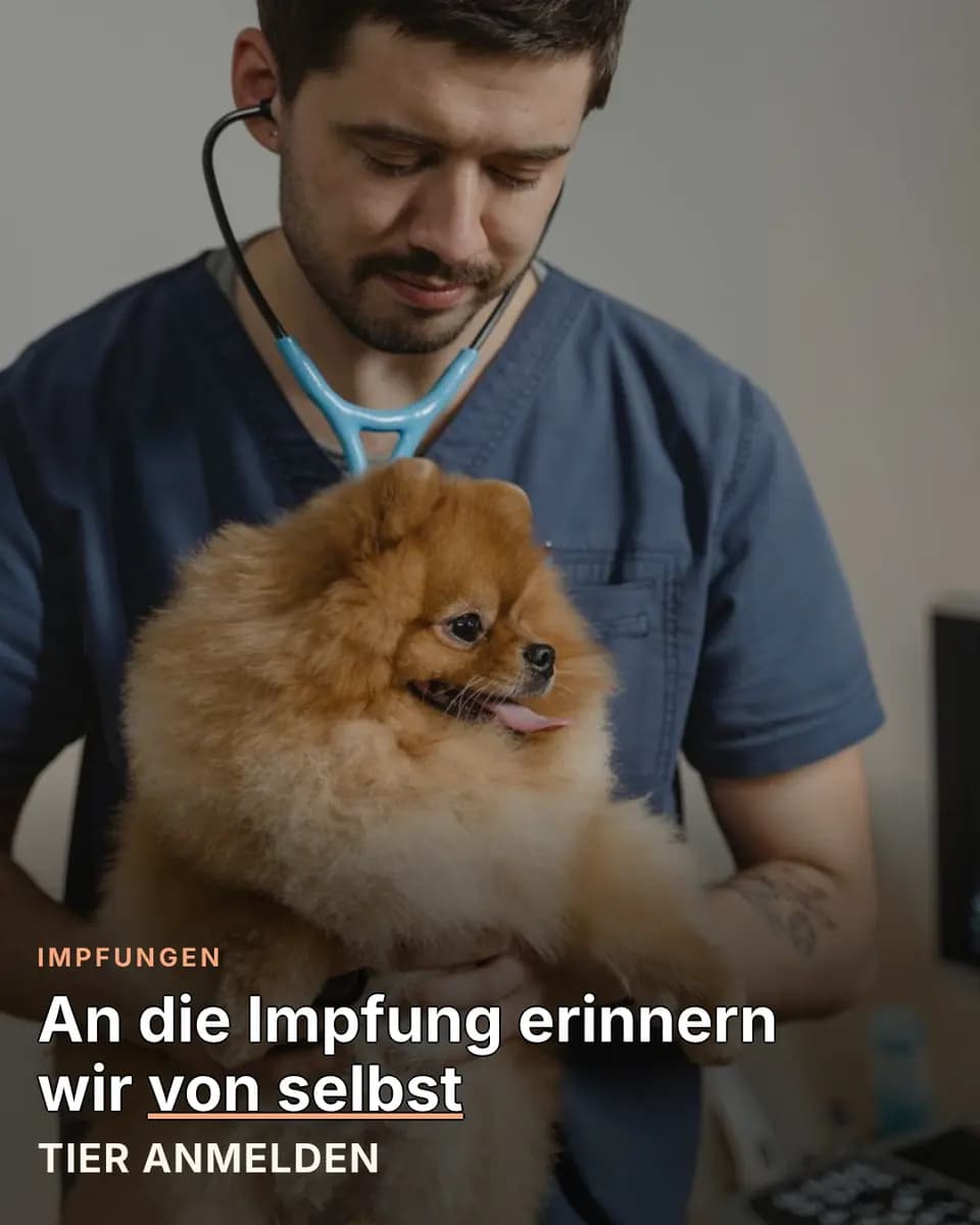 An die Impfung erinnern wir von selbst, Tierarztpraxis