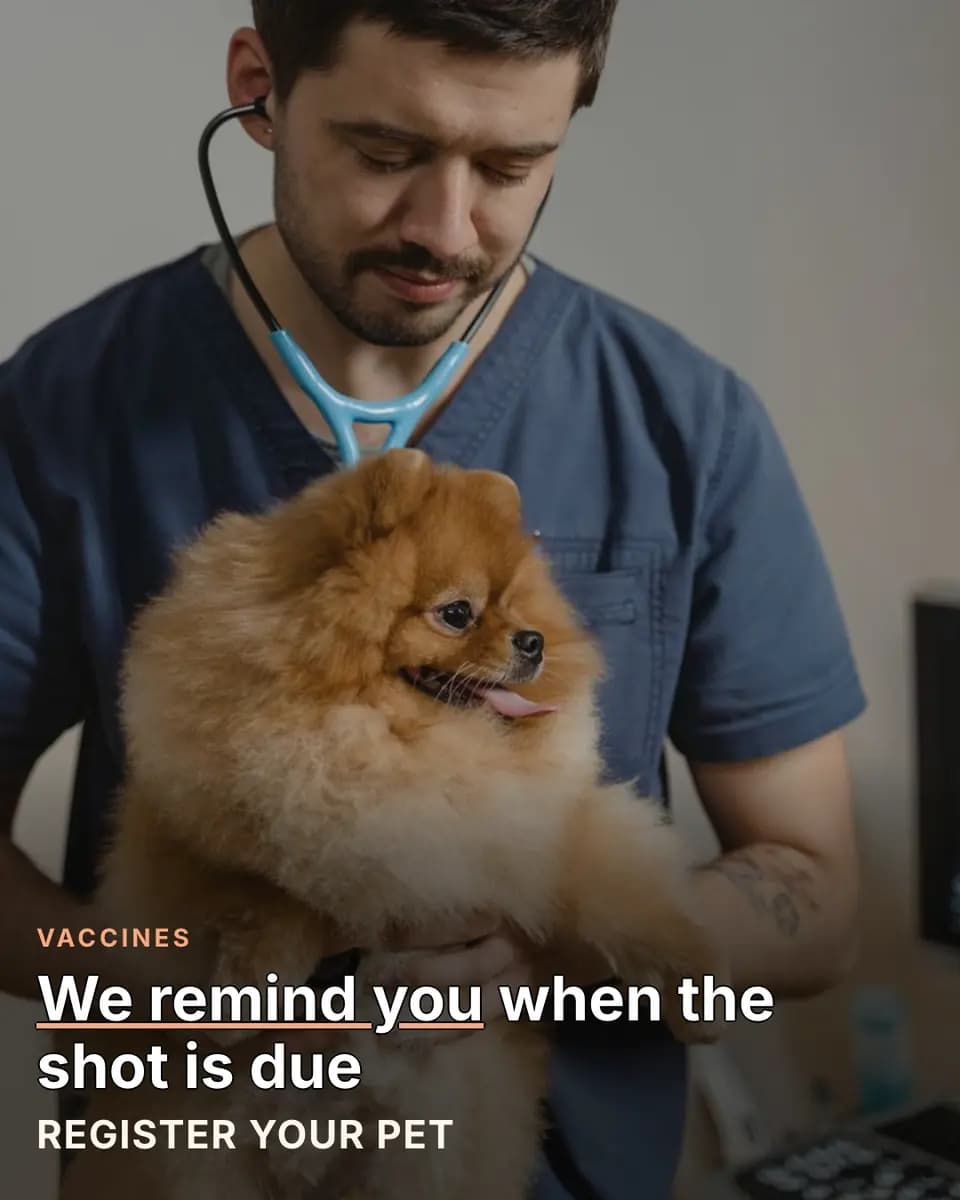We remind you when the shot is due, Vet Clinic