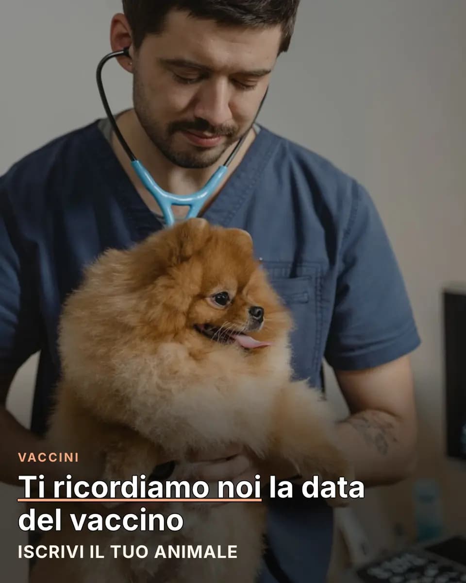 Ti ricordiamo noi la data del vaccino, Studio Veterinario