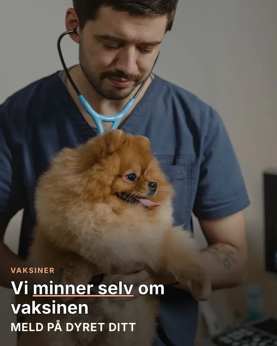 Vi minner selv om vaksinen, Dyreklinikk