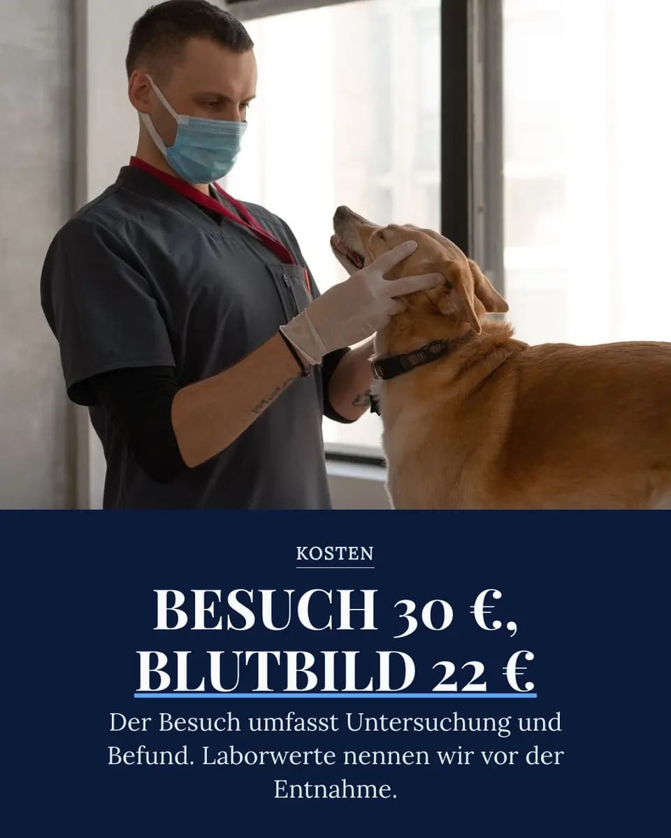 BESUCH 30 €, BLUTBILD 22 €, Tierklinik